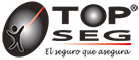 topseg60.png